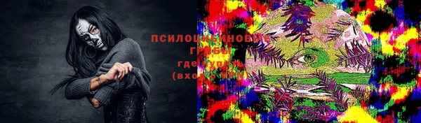 МДПВ Арсеньев