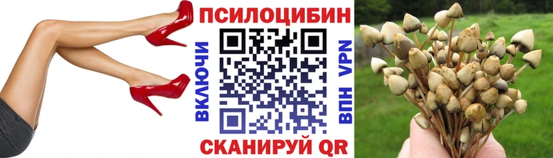 где купить наркотик  Перевоз  Псилоцибиновые грибы Cubensis 