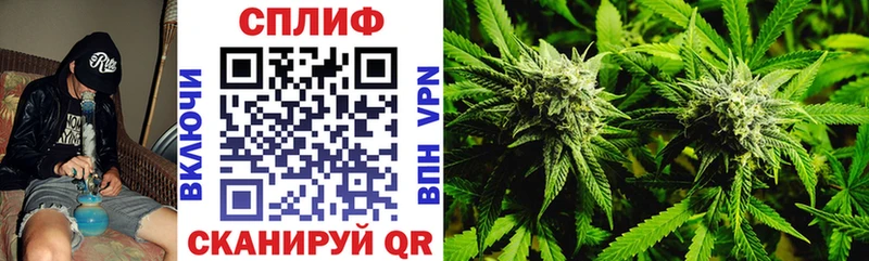 где найти Перевоз Бошки марихуана Amnesia